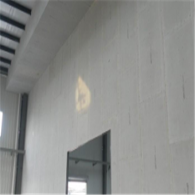 万荣宁波ALC板|EPS加气板隔墙与混凝土整浇联接的实验研讨